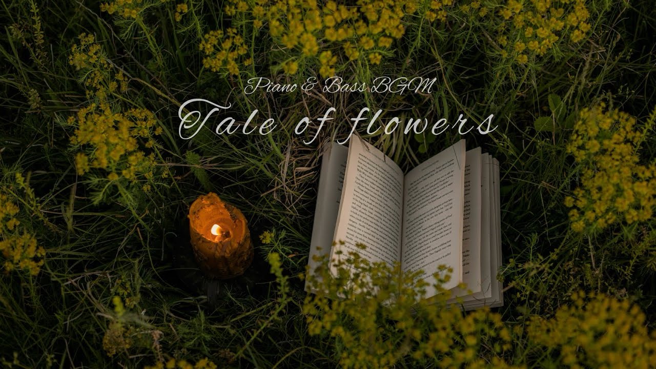 Tale of Flowers | Piano & Bass Duo — Intimate Jazz for Solo Time