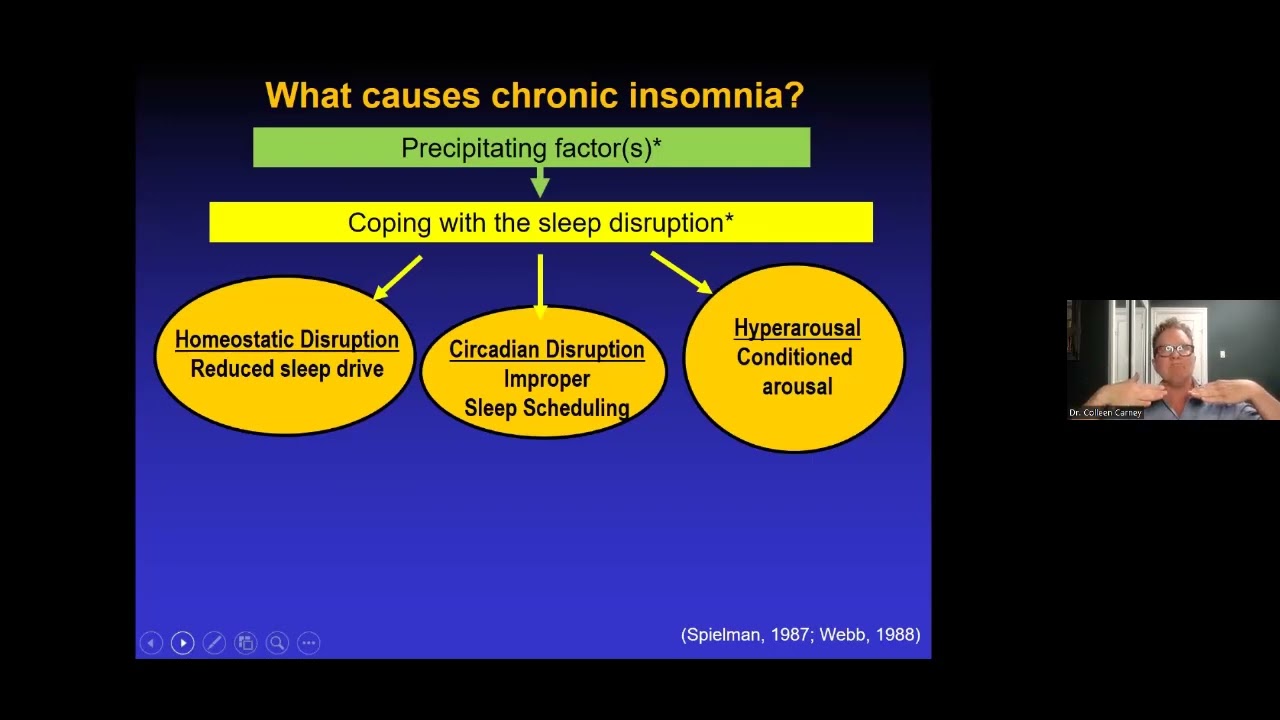 Causes of Chronic Insomnia