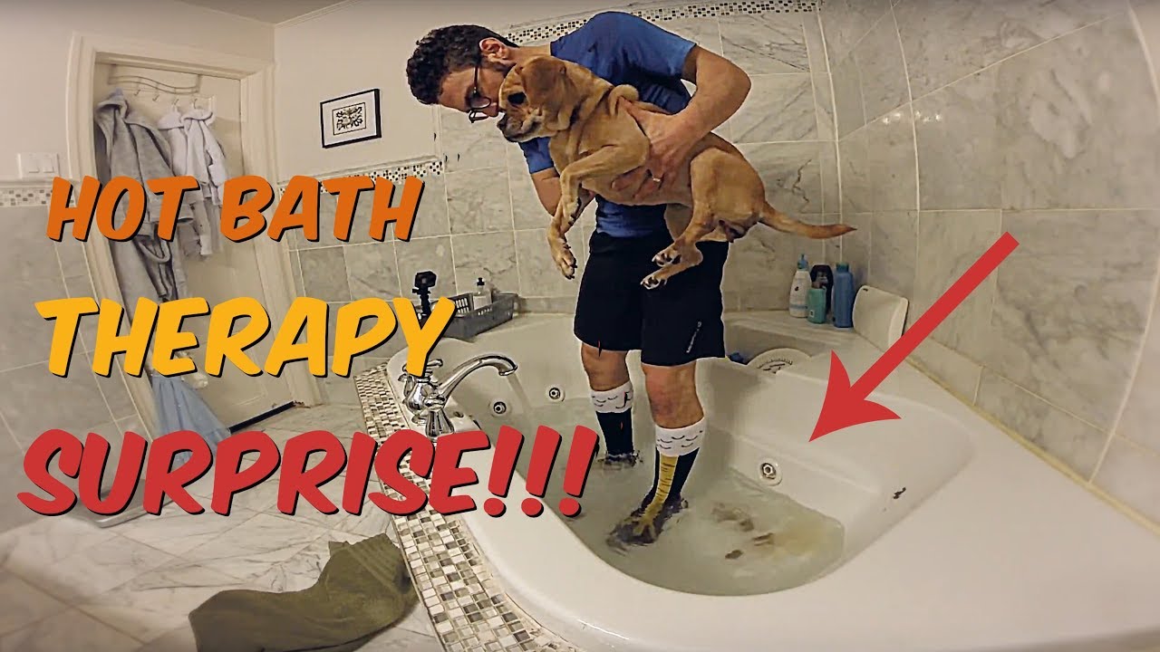 HOT WATER THERAPY FOR THE PARALYZED PUGGLE DOES NOT GO AS PLANNED!!!