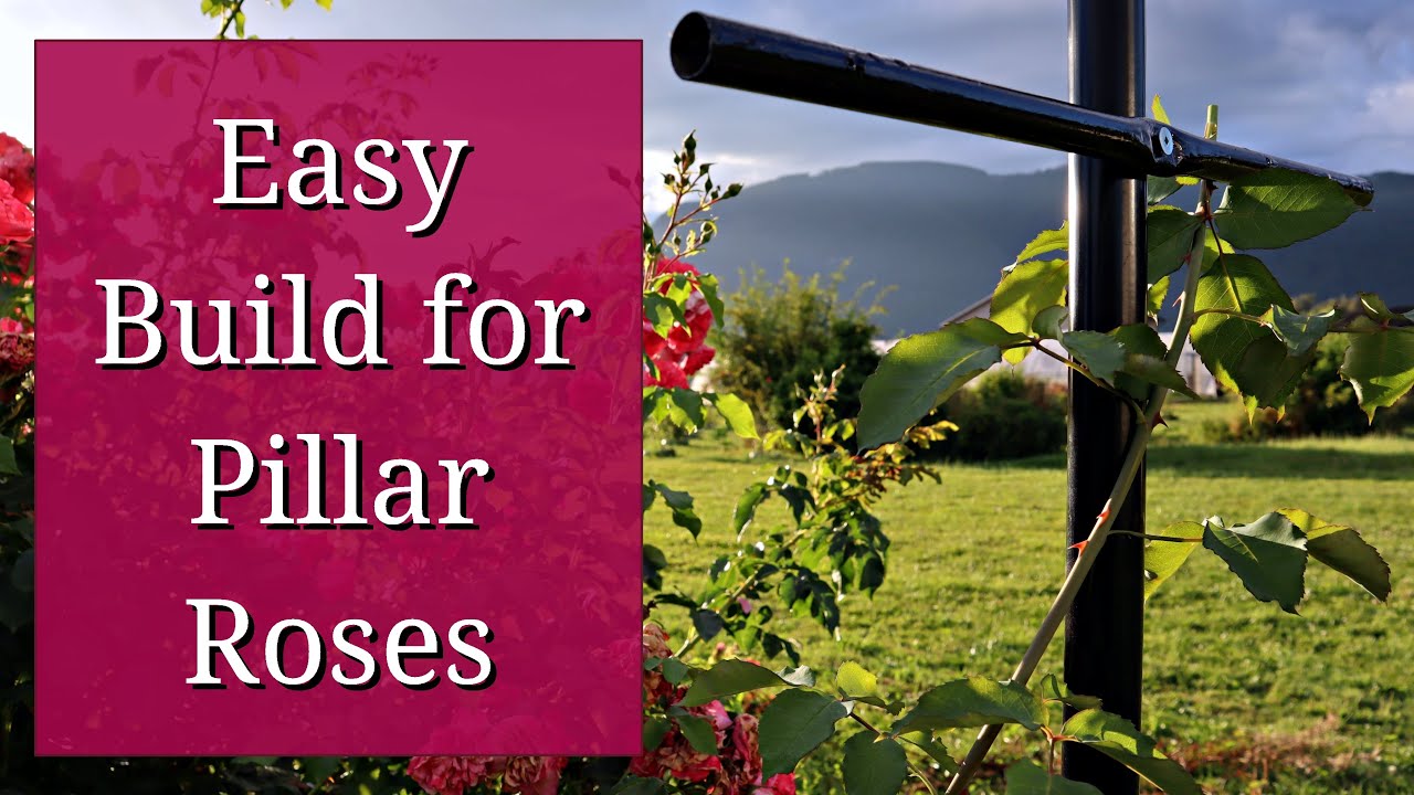 DIY Rose Pillar Support