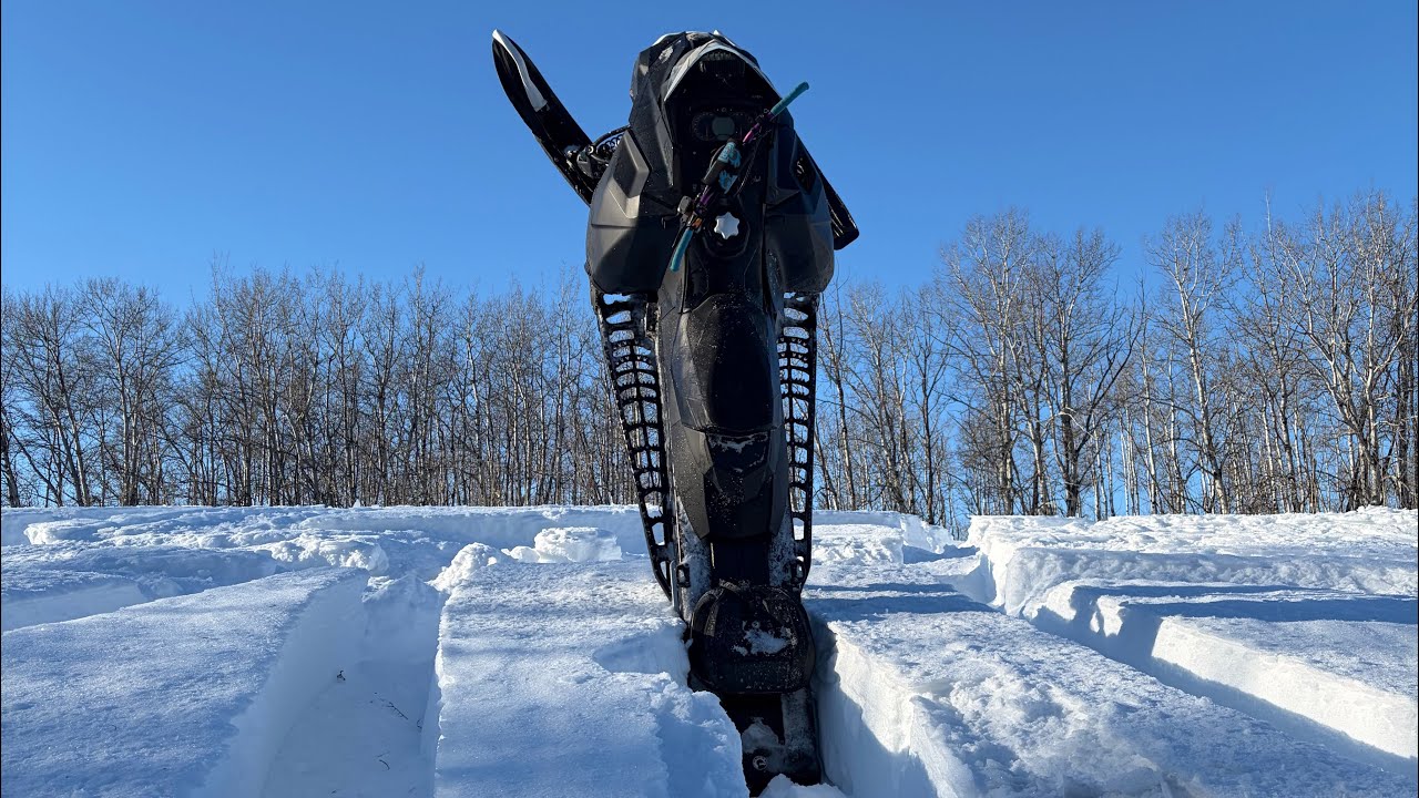 Nice day for wheelies