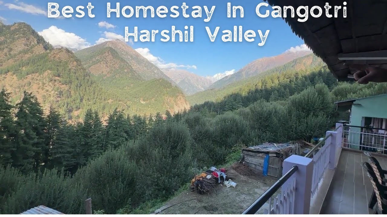 ये होमस्टे बिल्कुल घने जंगल में है गंगोत्री हर्षिल घाटी में रोज़ भालू आता है यहाँ #gangotri