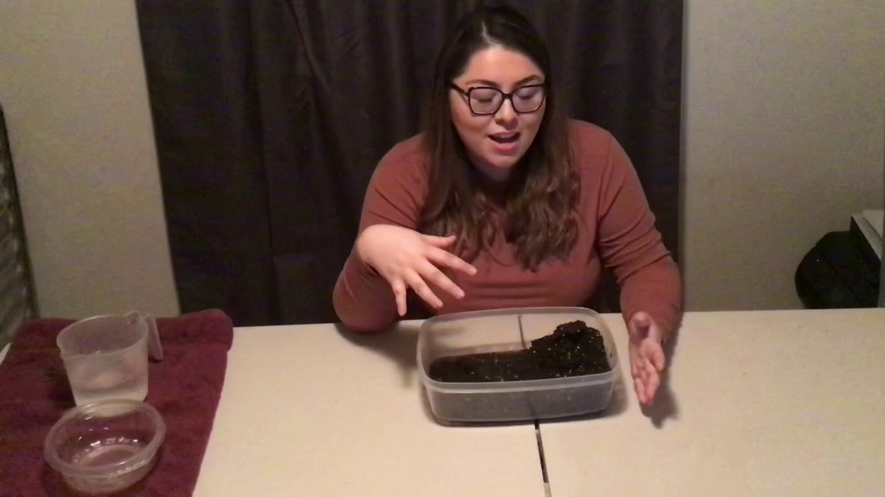 4-ESS2-1 Erosion Experiment