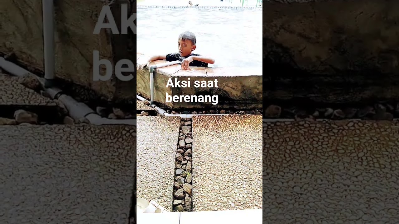 #memes