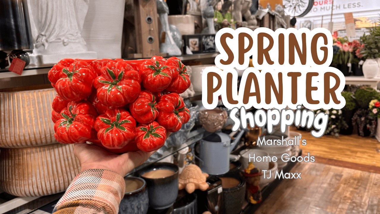 Marshalls tjmaxx and home goods shopping || Planters