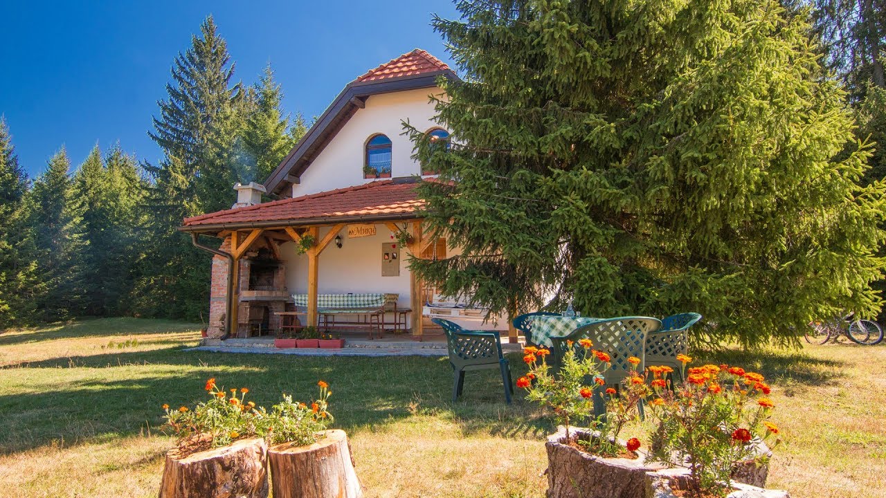 Vikendica MIKI planina Tara