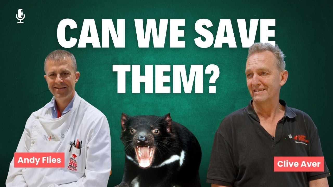 Inside the Lab: The Fight to Save the Tasmanian Devil