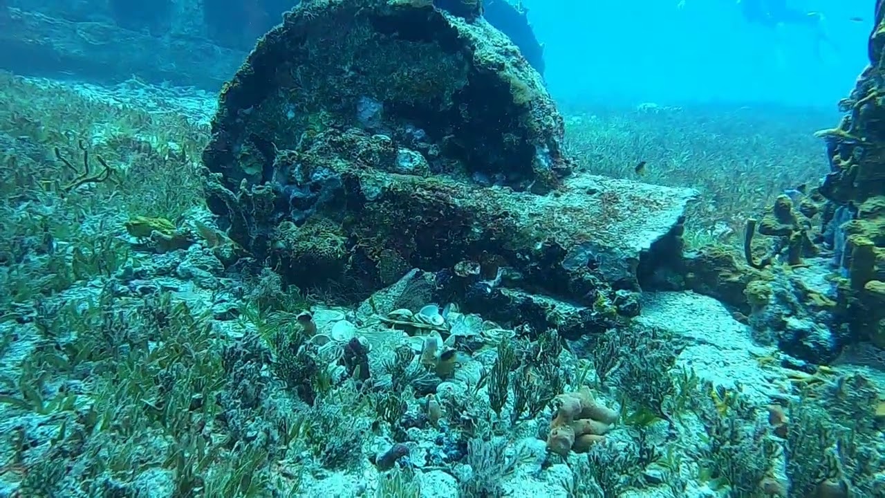 St. Kitts - Scuba Diving - River Taw - June 8, 2025