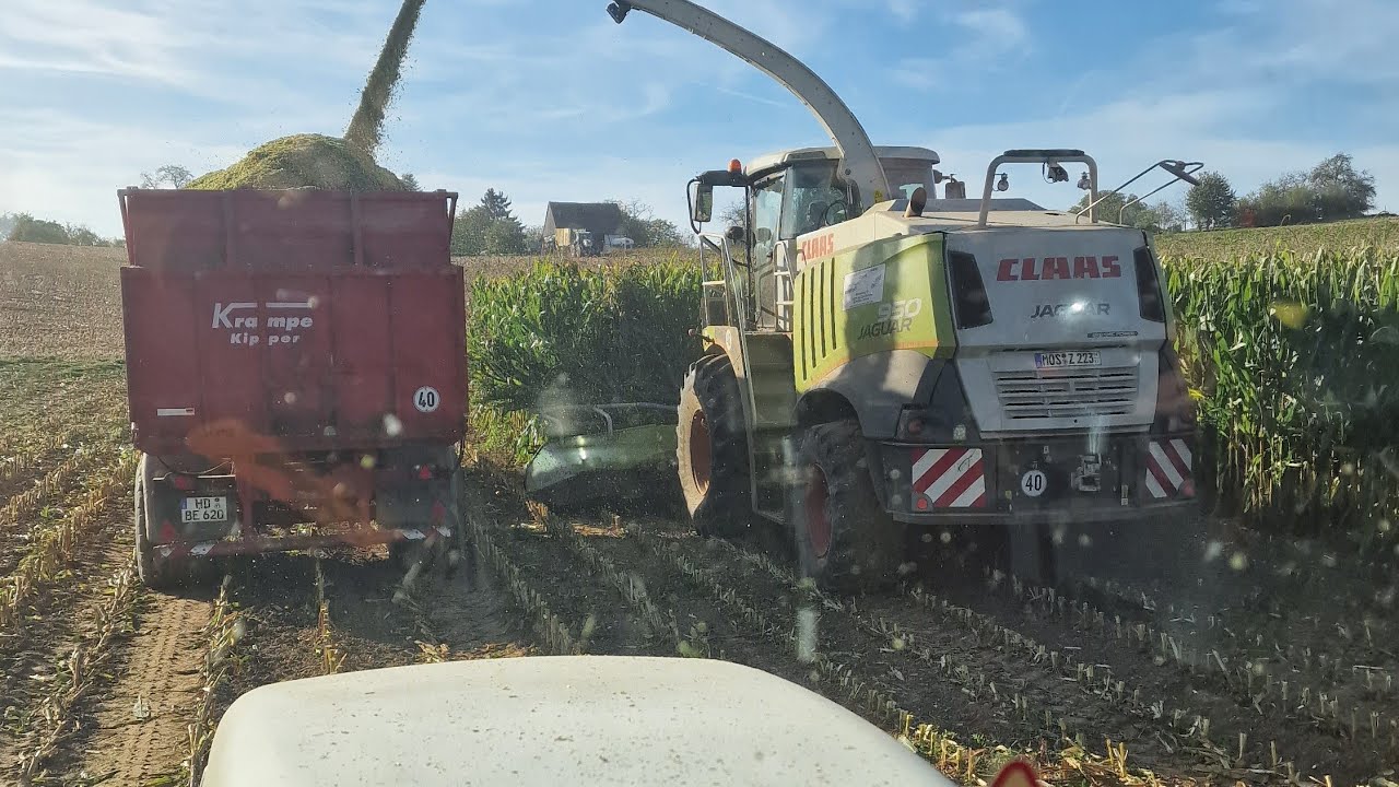 Mais Silage 2023 - Claas Jaguar 950 + Fendt + Styer + Case + John Deere Mais häckseln 2023