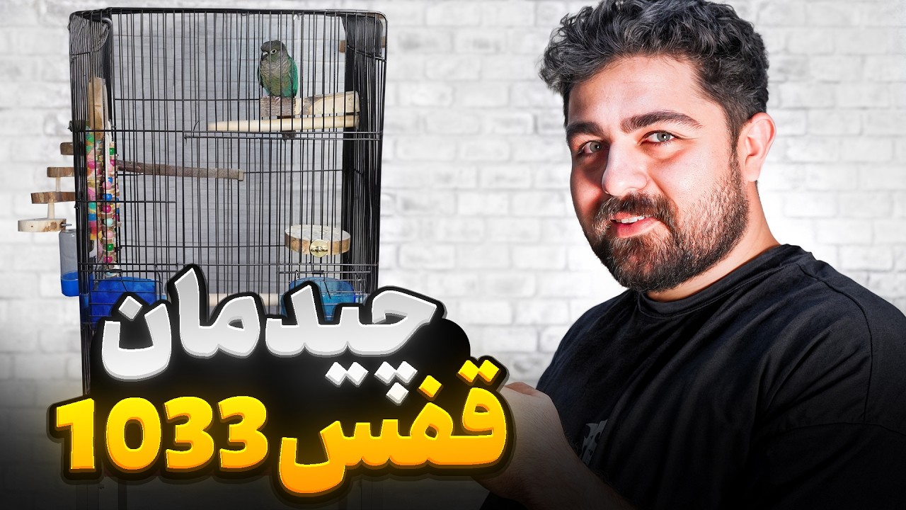 اصول چیدمان قفس طوطی || قفس 1033