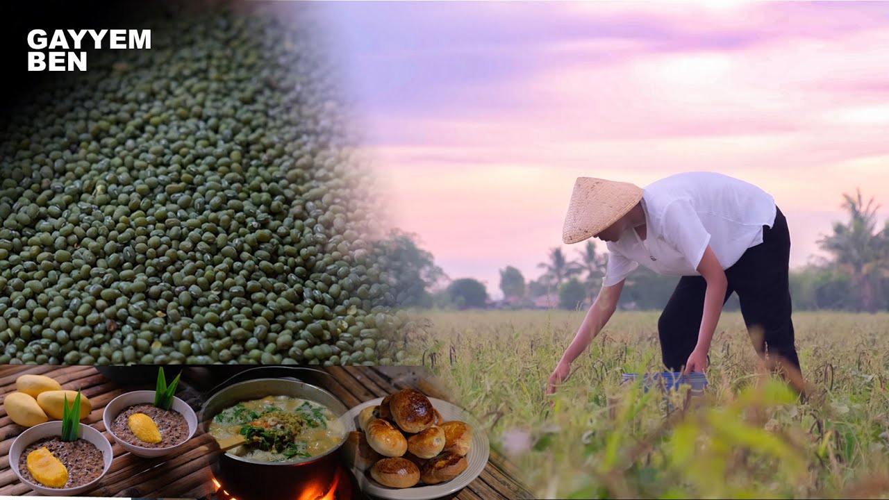 It’s mung bean season! | I harvested mung beans and cooked  various Filipino munggo dishes