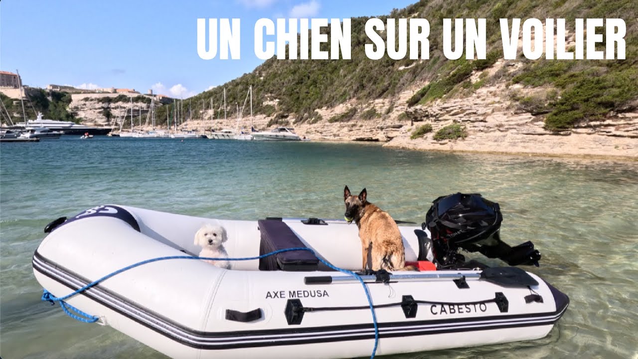 UNE vie de CHIEN en VOILIER 🐕 Episode 28 Les aventures en VOILIER