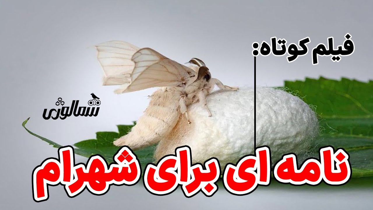 نامه ای برای شهرام