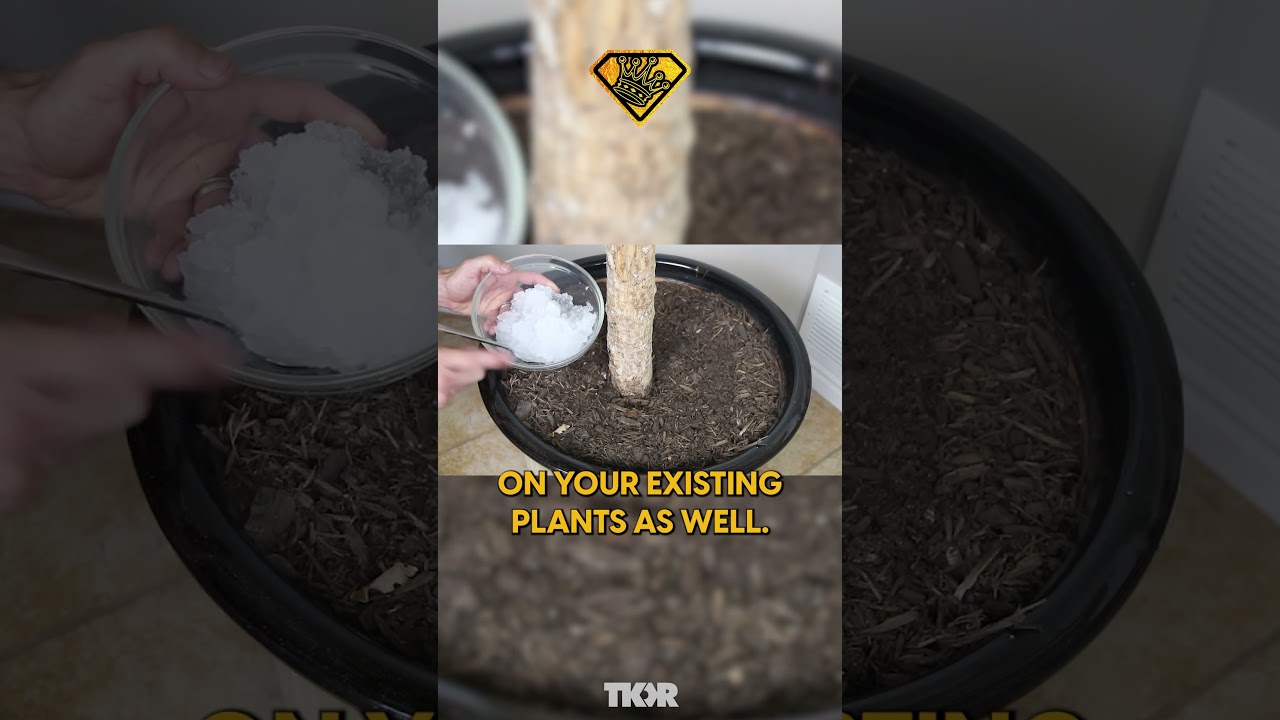🌿🚀 Turn Diapers into Plant Savers! DIY Hydrogel Trick for Lush, Healthy Gardens! 💦