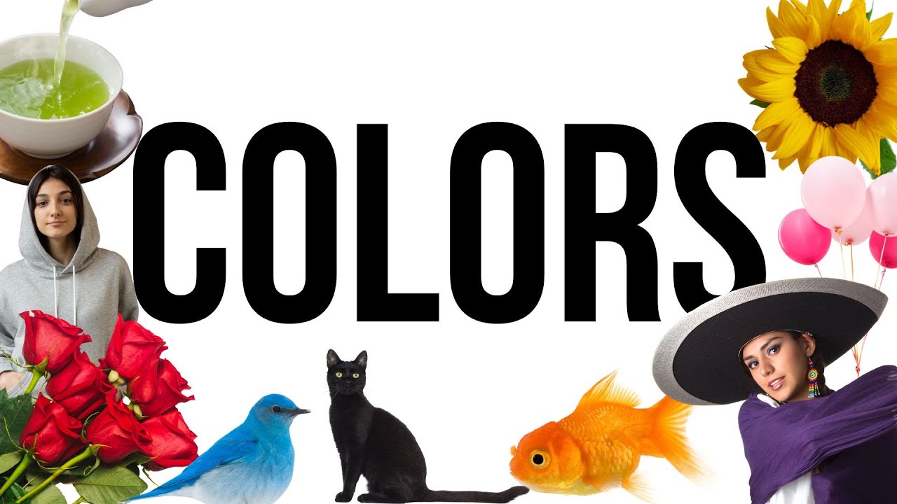 Colors Vocabulary for Teen and Adult Beginning English Learners and Newcomers | A1 English ESL EFL