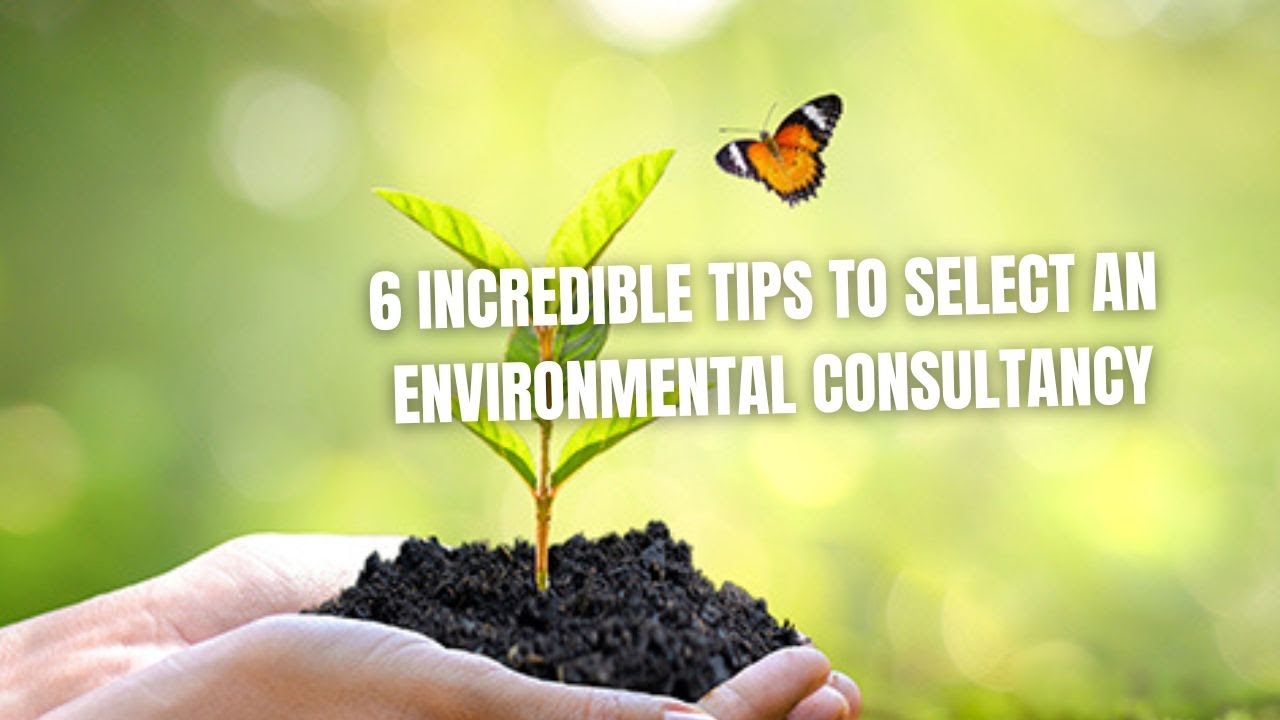 6 Incredible Tips to Select an Environmental Consultancy