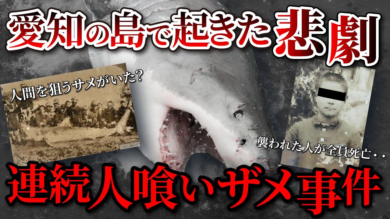 愛知県の島で起きた連続人喰いザメ事件の真相とは？文春が報じた日間賀島の悲劇を徹底解説！