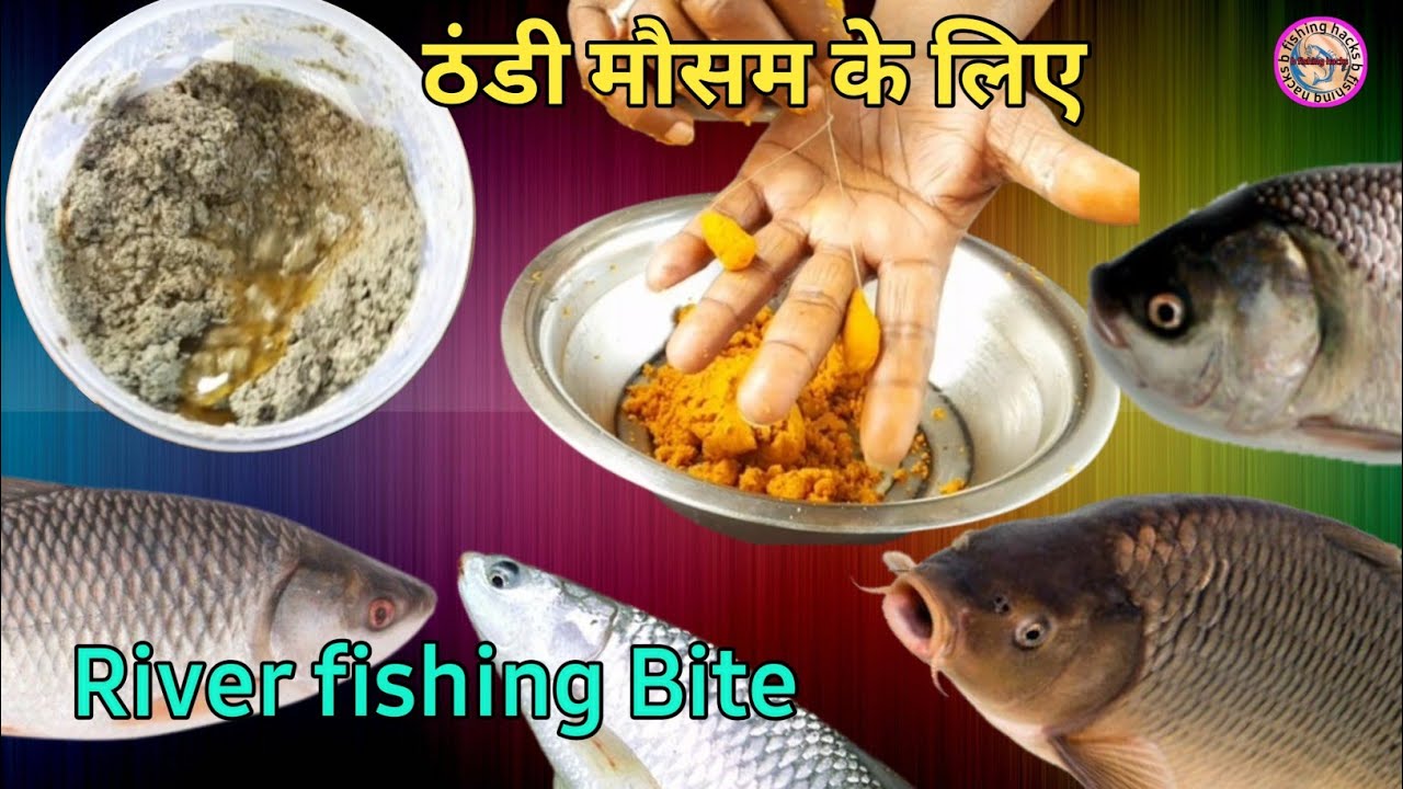 ठंडी मौसम के लिए  Paneer Charai Se River Fishing Bite/Top Attraction For Rohu Katla Mrigel Etc Fish 