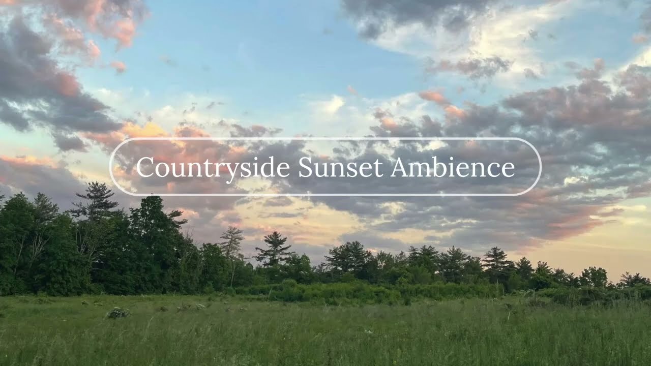 Countryside Sunset | Ambience