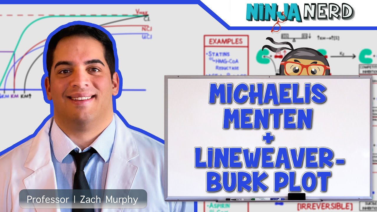 Biochemistry | Michaelis-Menten & Lineweaver-Burk Plot
