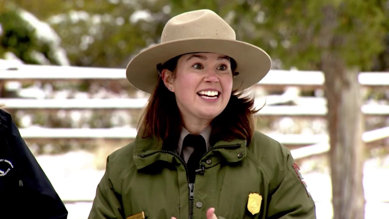 How to help public lands
