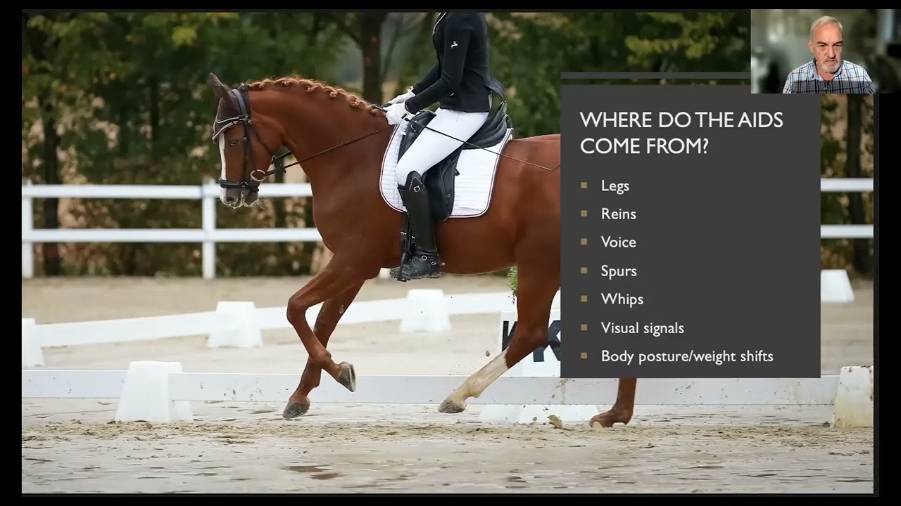 Andrew McLean: Help a horse learn by asking in a way they understand