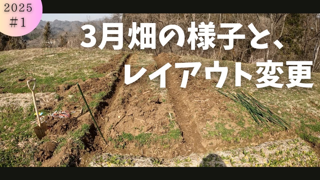 【2025/3月下旬 畑の様子】移住のご報告と畑のレイアウト変更していく