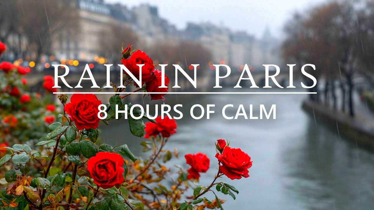 Rain in Paris with Red Roses | 8 Hours of Calm Ambience for Sleep & Study
