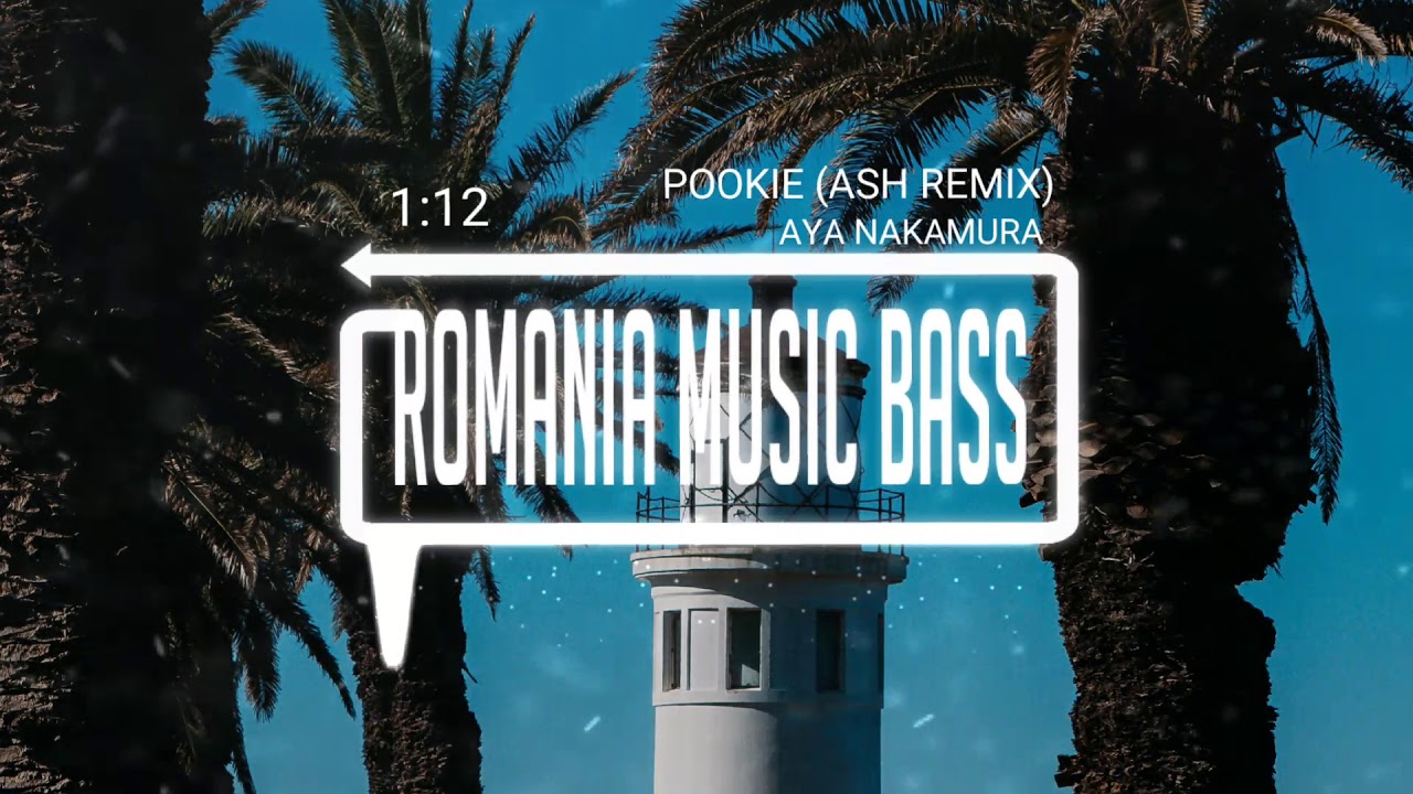 Aya Nakamura - Pookie (ASH Remix) (Bass Boosted)