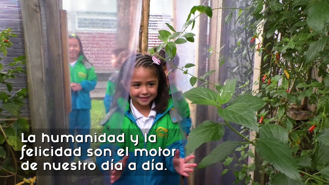 &iquest;Por qu&eacute; Evergreen School es reconocido por transformar la educaci&oacute;n?