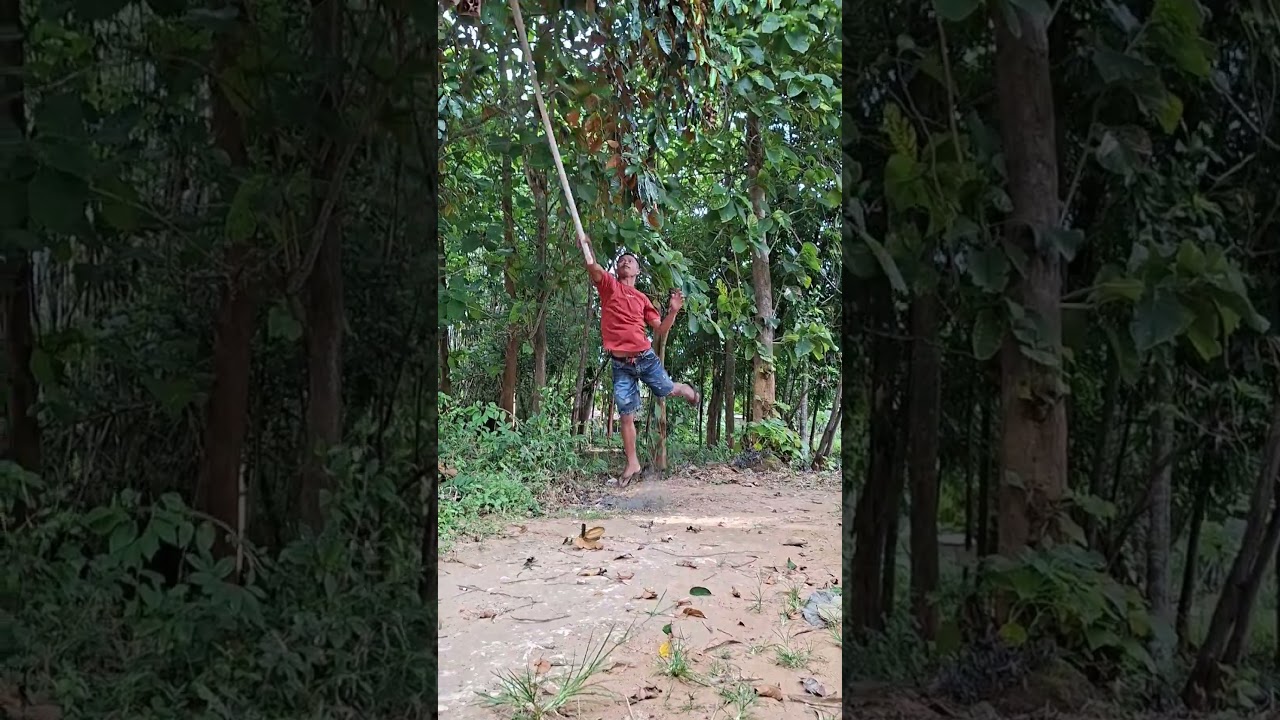This child is happy to be able to hunt anih #shortvidio  #bird #nature