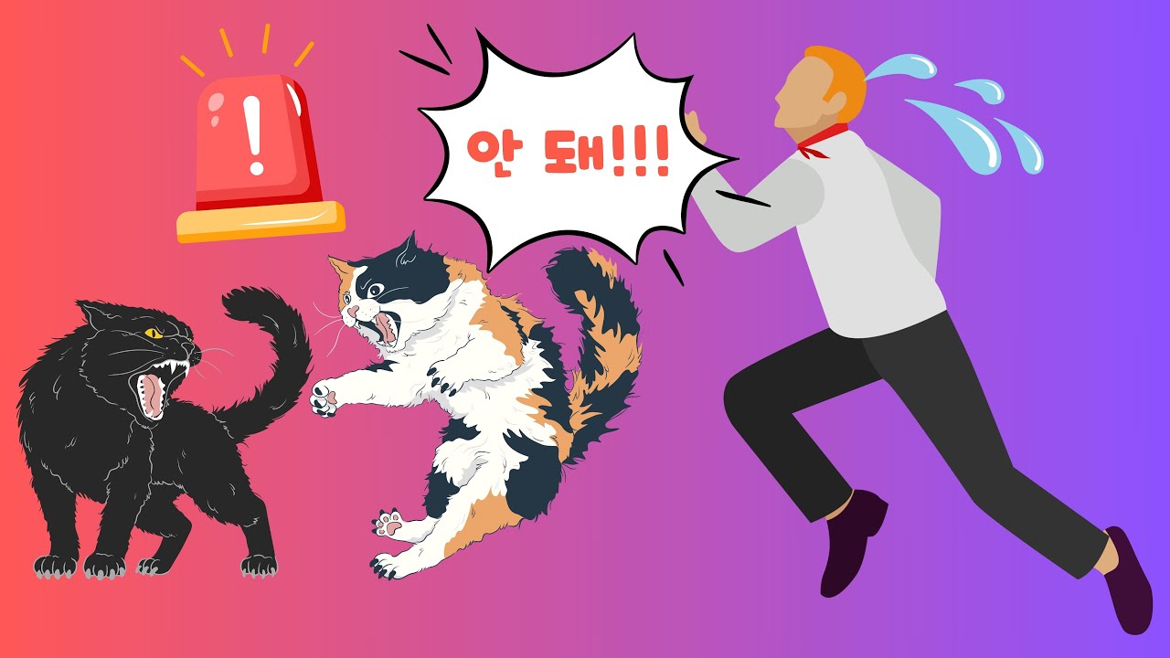 고양이 큰 싸움 중재! 흥분한 고양이는 애미 애비를 몰라봐요!!