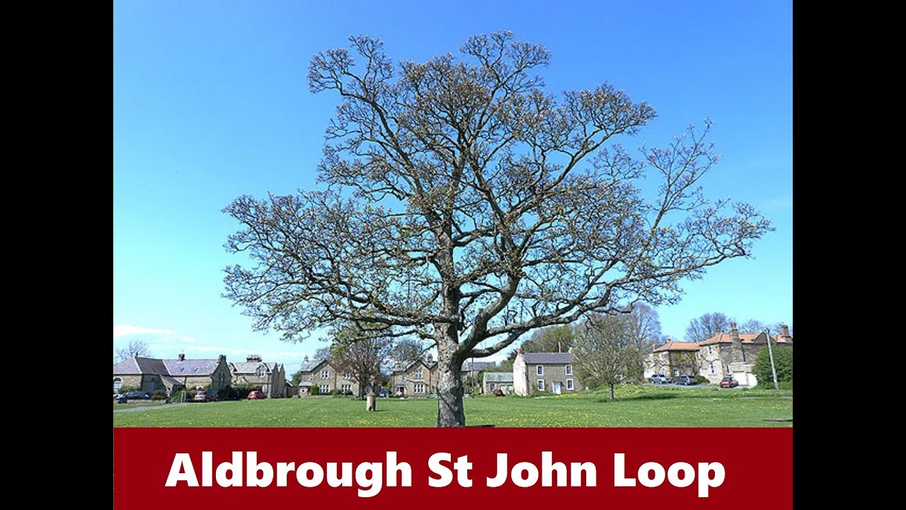 Aldbrough St John Loop