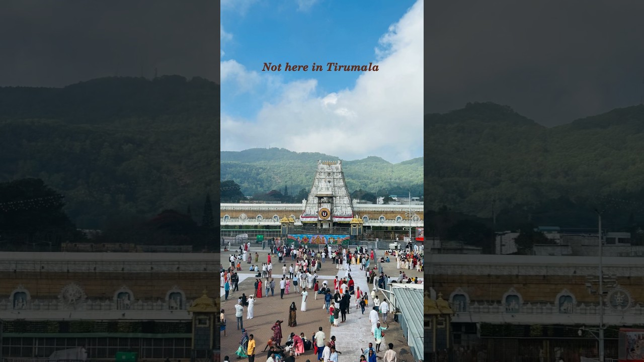 Tirumala Balaji Darshan 🛕 | Divine Vibes at Tirupati Temple #tirupati #shorts #viral #temple #status