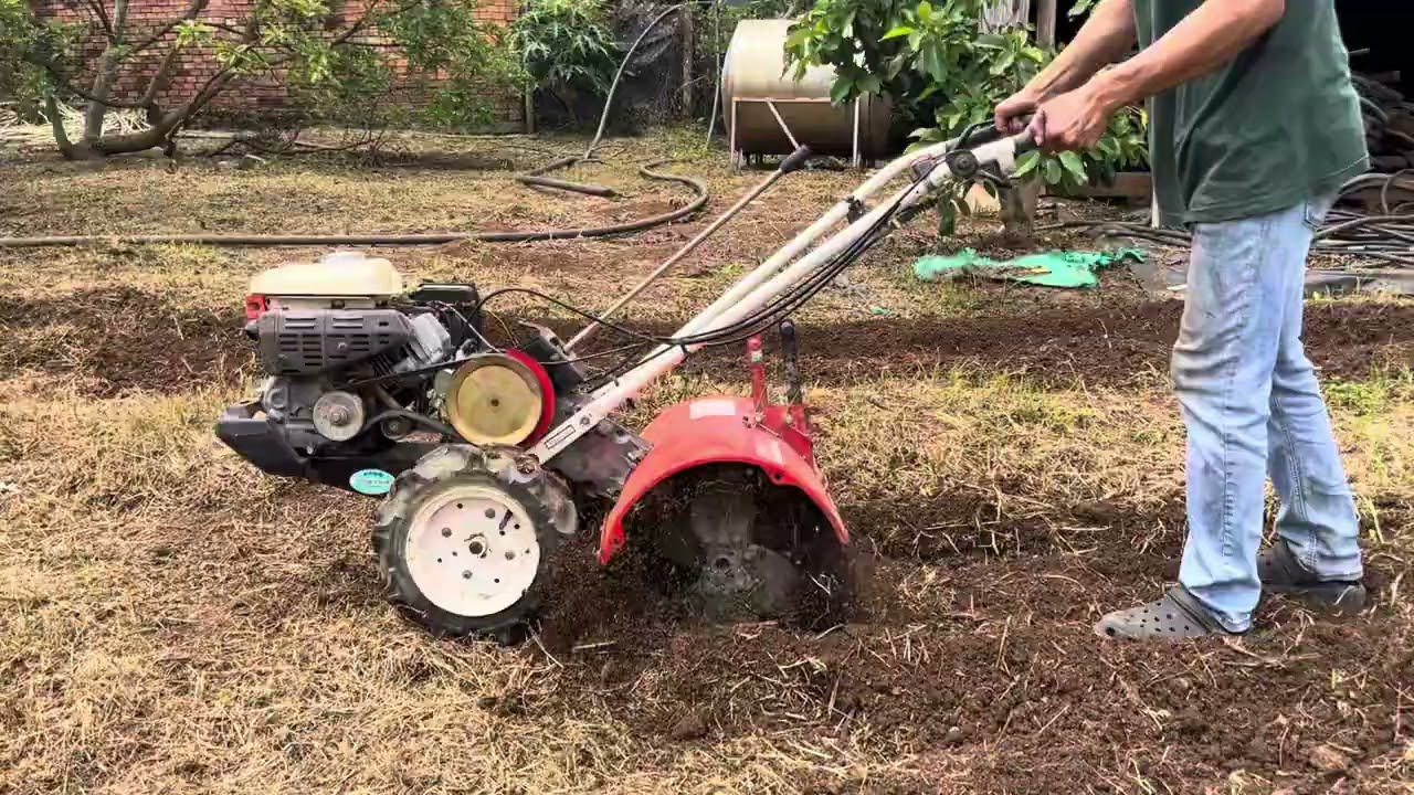Máy xới đấy thùng phi Yanmar có đề cực vip 6 ngựa lh 0337102333