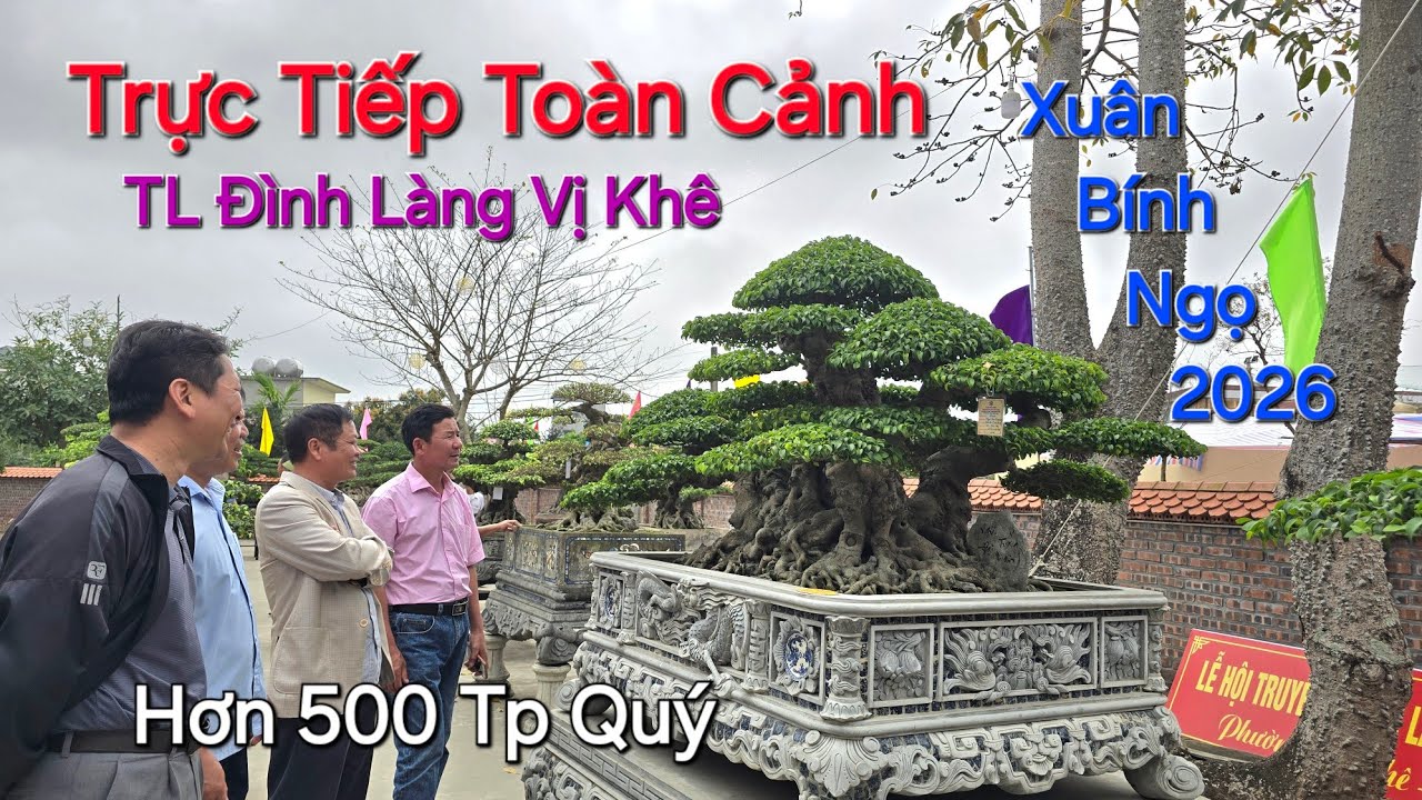 TRỰC TIẾP TOÀN CẢNH TL ĐẤT TỔ LÀNG NGHỀ VỊ KHÊ với quy mô hơn 500 TP QUÝ - Nhiều Cây Mới Lạ .