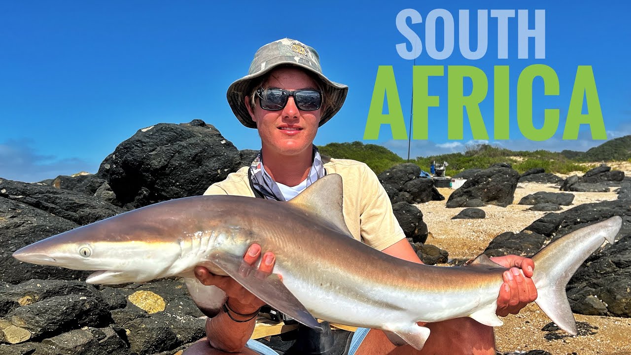 Shark Fishing off the Rocks in South Africa 🇿🇦