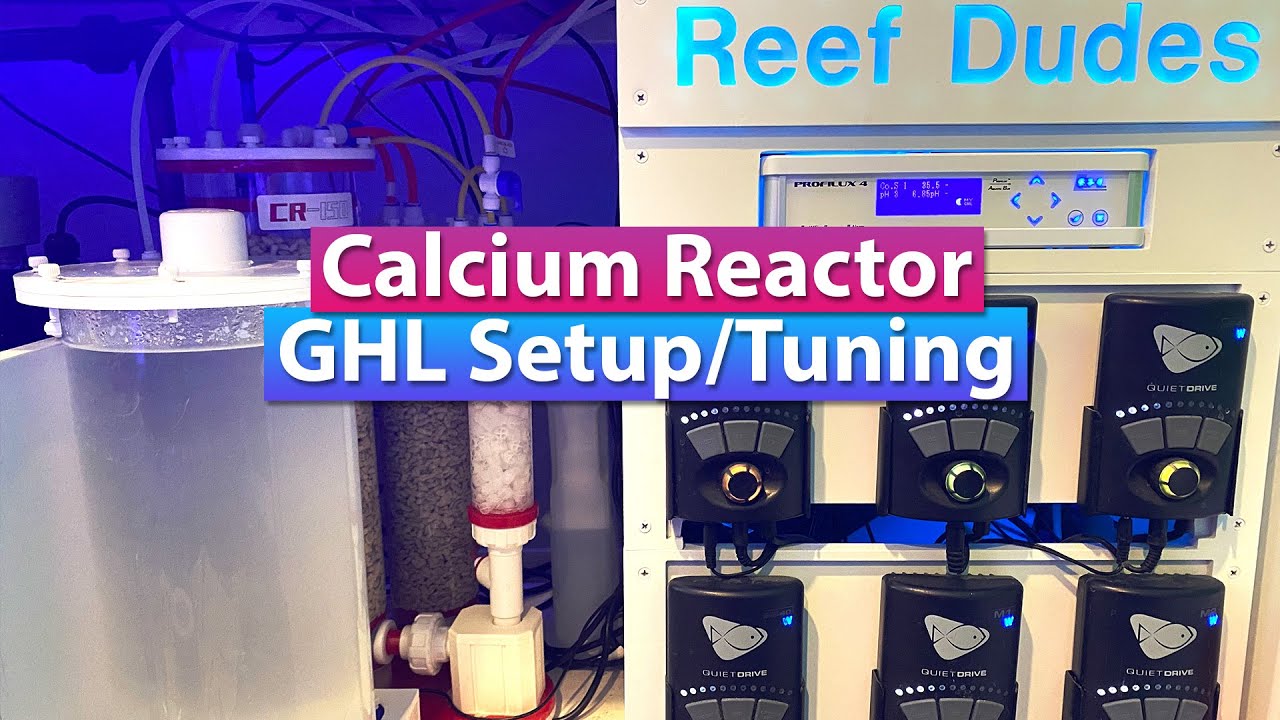 Calcium Reactor Setup and tuning with GHL Profilux P4