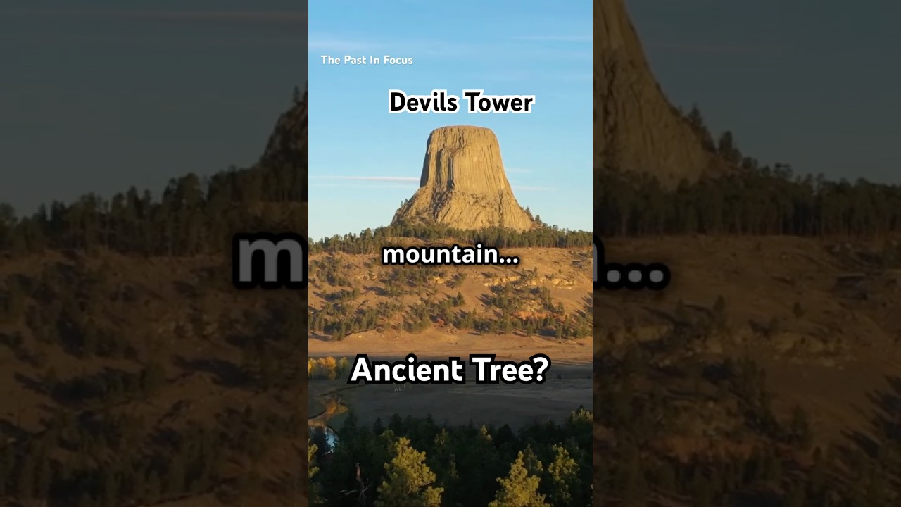 Ancient Giant Trees: Nephilim Giants