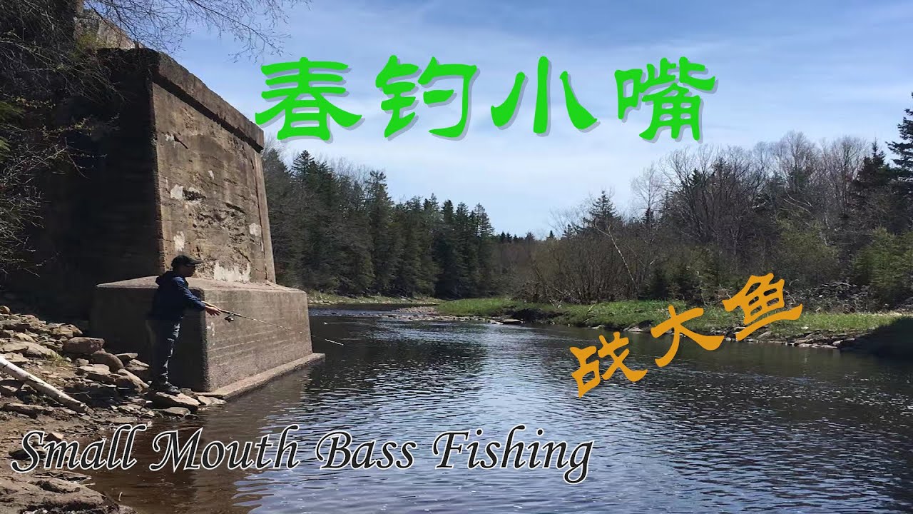 【渔耕笔记】春钓小嘴鲈鱼 好玩过瘾 野趣十足  Early Spring Small Mouth Bass Fishing