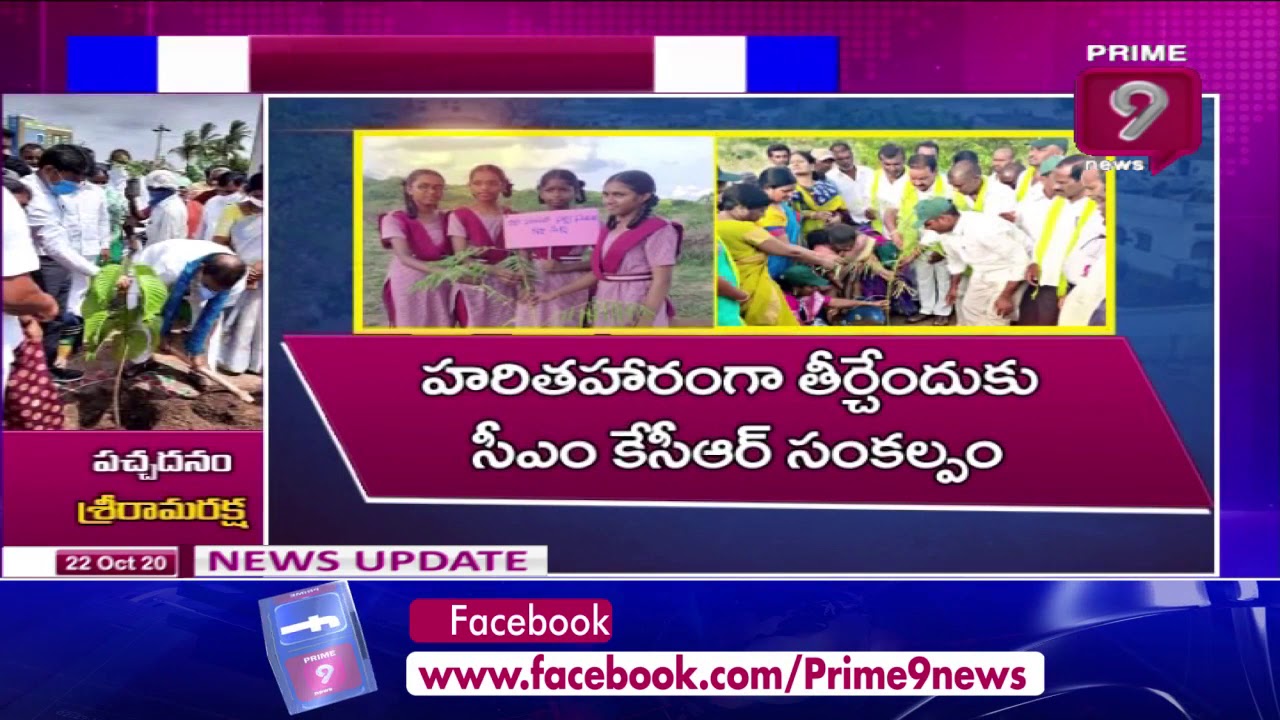 ఆహ్లాదకరంగా మెట్ల చిట్టాపూర్ గ్రామం | Special Story On Metla Chittapur village | Prime9 News