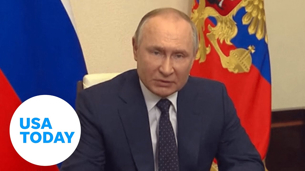 Russia could be moving towards a totalitarian regime, says expert | USA TODAY