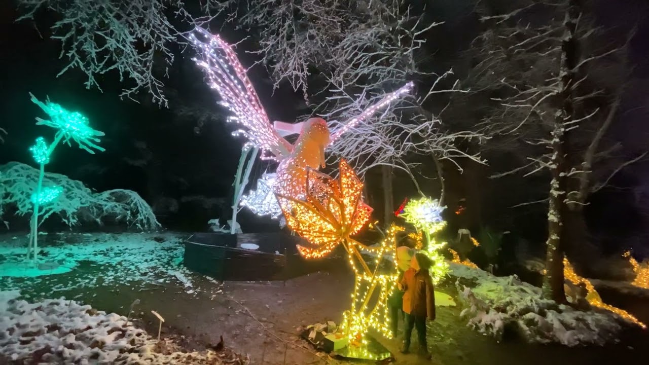 4K Unleash Your Inner Child at Warsaw's Botanical Garden 🌿👪