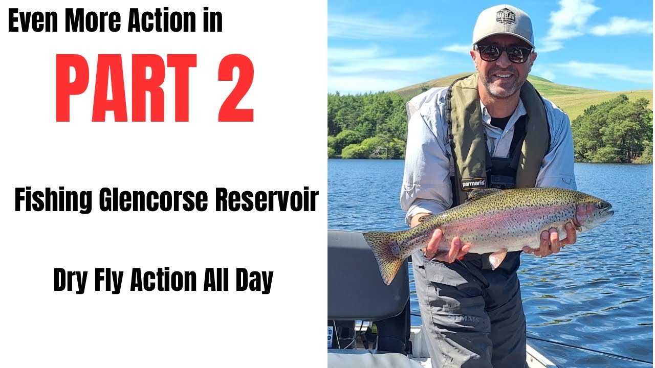 Dry Fly Fishing - Part 2 - Glencorse Fishery Scotland 🏴󠁧󠁢󠁳󠁣󠁴󠁿 #trout #flyfishing #dryflyfishing 