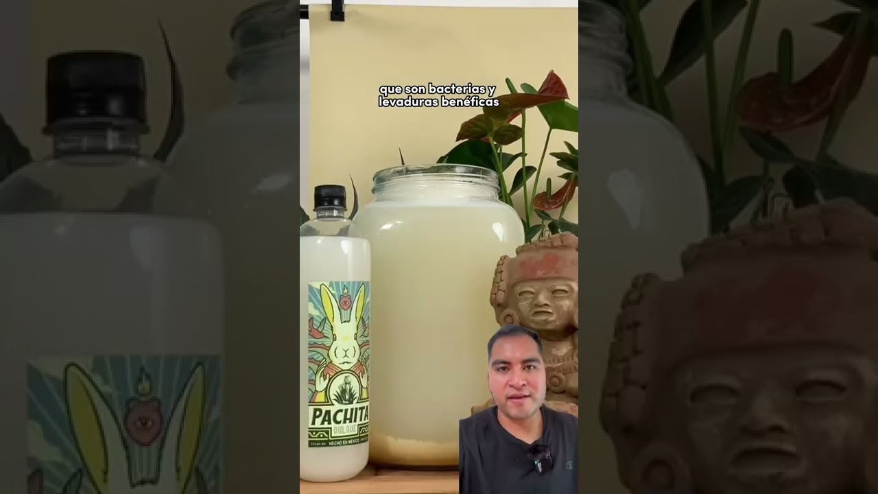 &iquest;C&oacute;mo hacer pulque🥛? Aprende el proceso de producci&oacute;n del pulque #pulque #pulquepachita