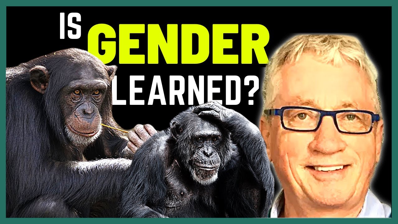What Primatology Says About Gender Differences | Dr. Frans de Waal