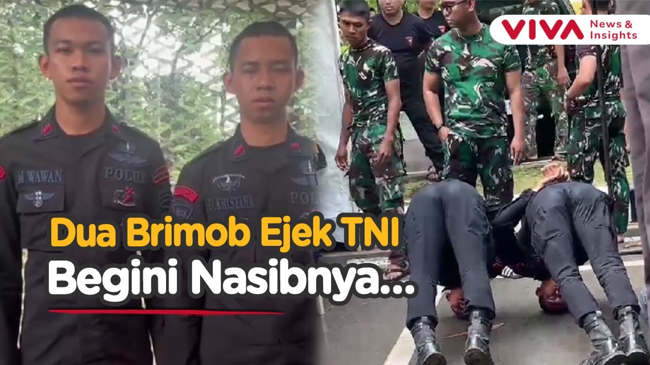 Anggota Brimob Meledek Prajurit TNI Saat Latihan, Berujung Minta Maaf
