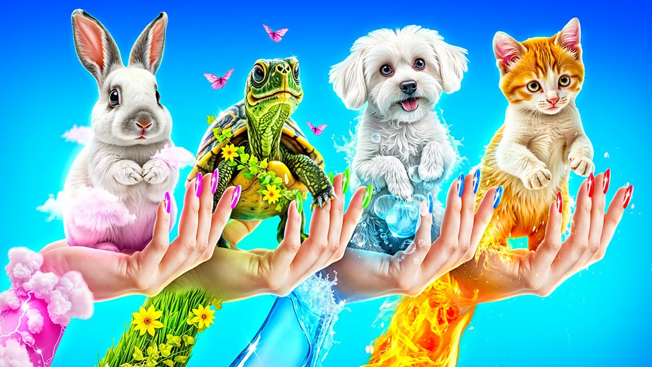 I Helped the 4 Elements Pets! Fire, Water, Air and Earth Pets