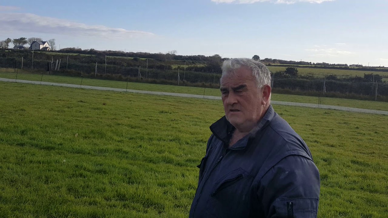 Ballyduff coursing field 16 Oct 2020.