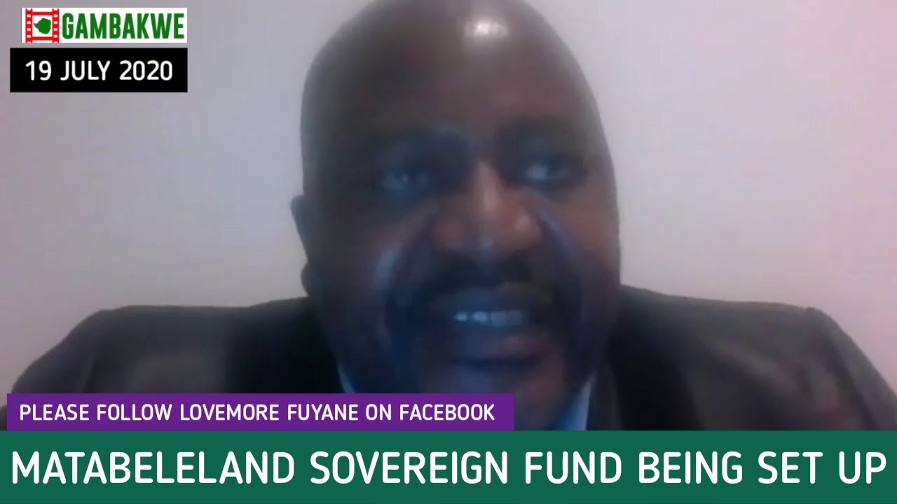Matabeleland Sovereign Fund Being Set up - Lovemore Fuyane